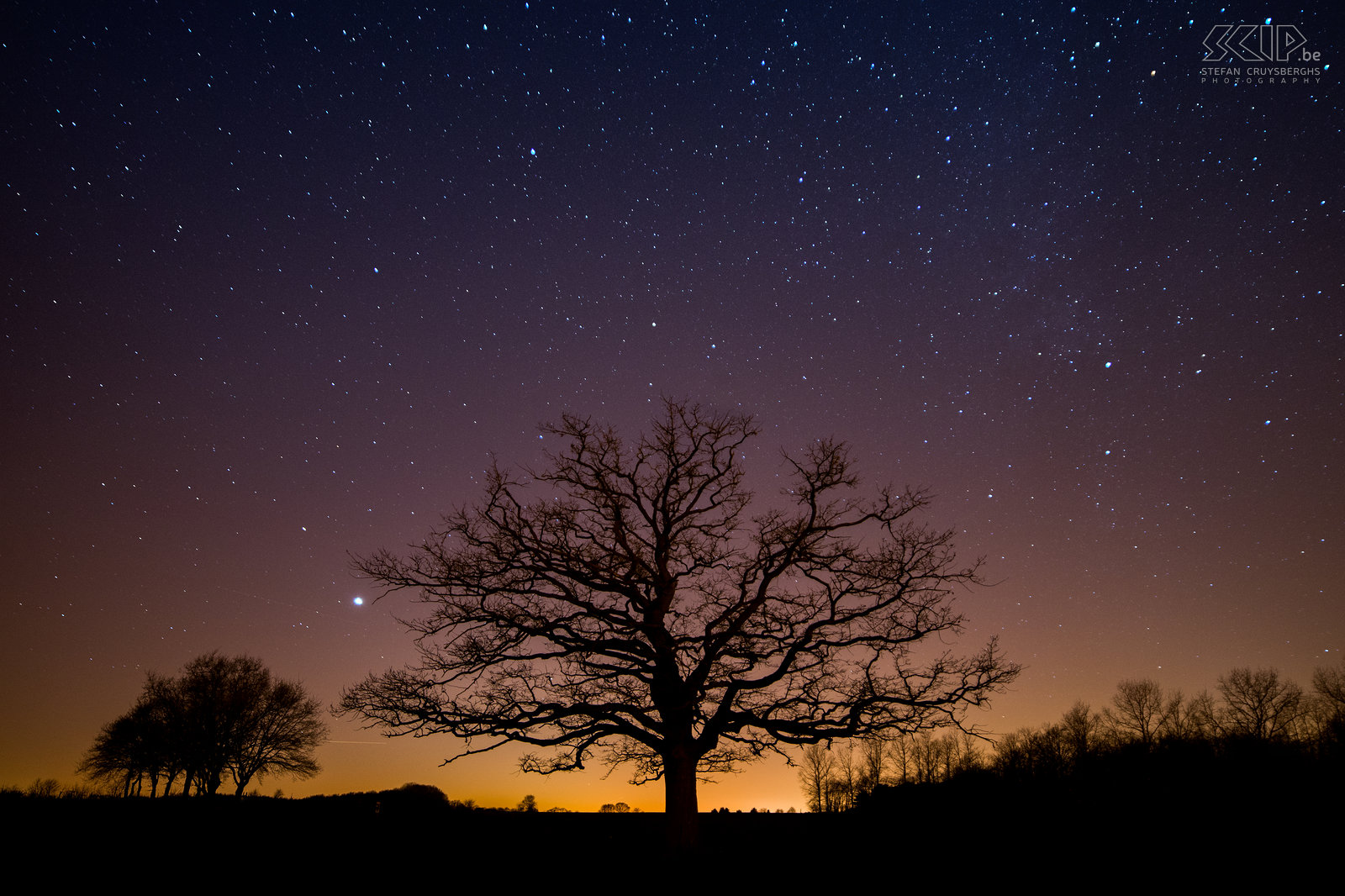 Hageland by night - Old oak tree in Kaggevinne The old oak of Kaggevine (Diest) is probably 150 years old. Despite the light pollution on the horizon, many stars were visible on a cold winter evening. Stefan Cruysberghs
